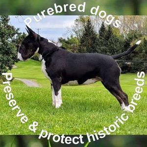 Meet your Posher, Brooks